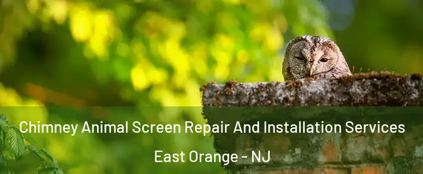  Chimney Animal Screen Repair And Installation Services East Orange - NJ