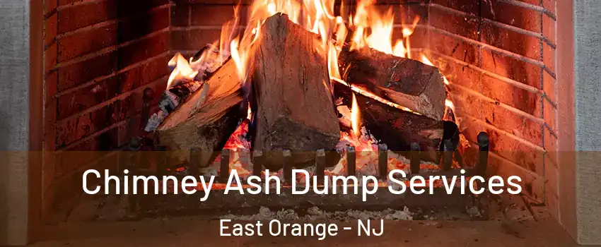 Chimney Ash Dump Services East Orange - NJ