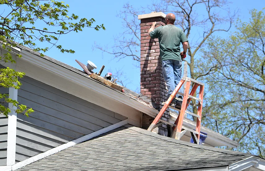 Chimney & Fireplace Inspections Services in East Orange, NJ