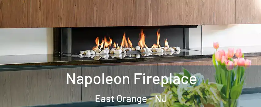  Napoleon Fireplace East Orange - NJ